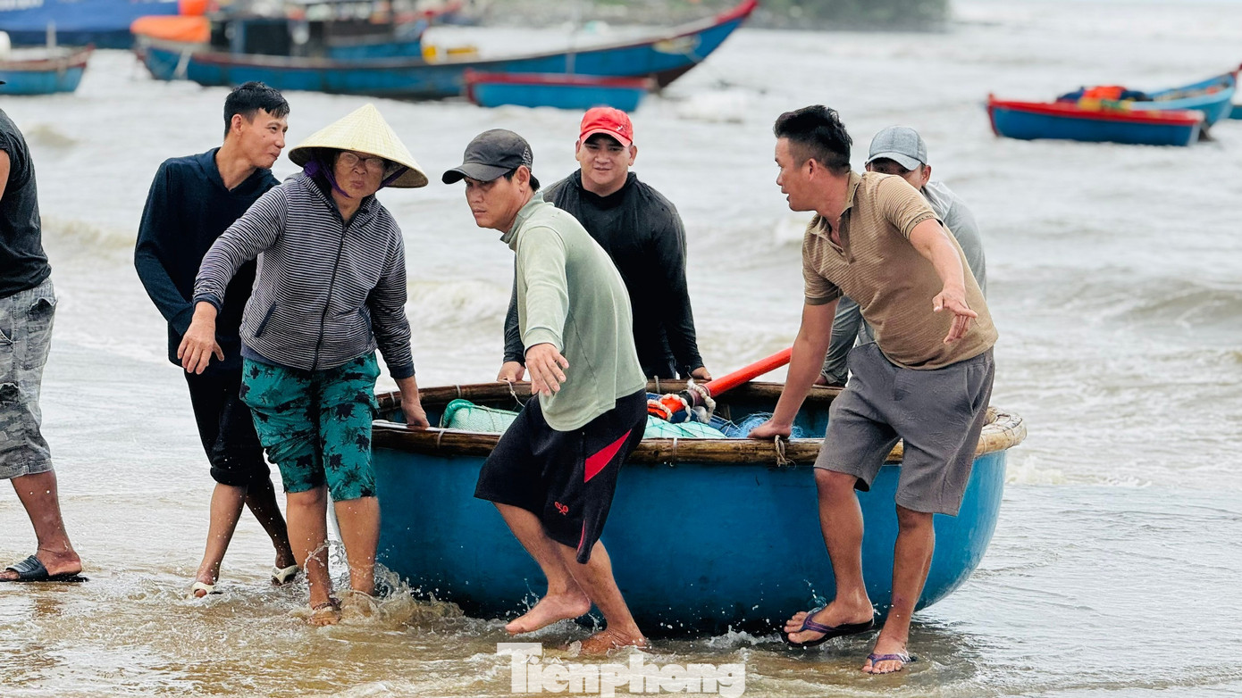amp;#34;Đánh liềuamp;#34; ra khơi giữa sóng lớn, ngư dân Quảng Ngãi trúng đậm - 8