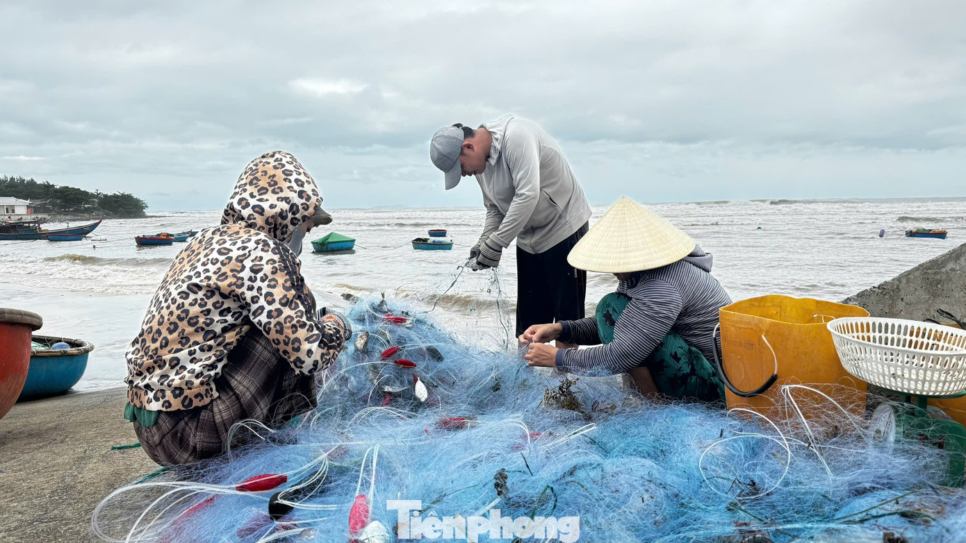amp;#34;Đánh liềuamp;#34; ra khơi giữa sóng lớn, ngư dân Quảng Ngãi trúng đậm - 22