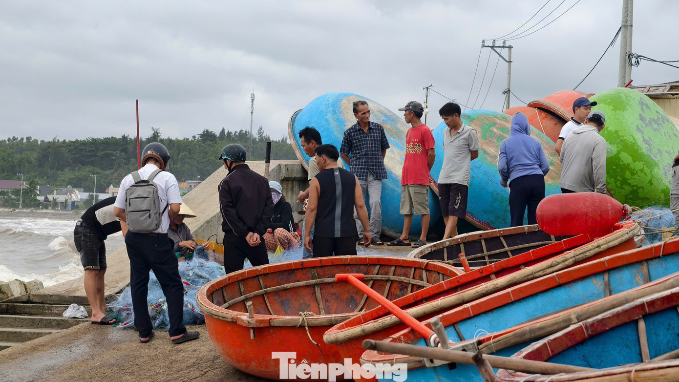 amp;#34;Đánh liềuamp;#34; ra khơi giữa sóng lớn, ngư dân Quảng Ngãi trúng đậm - 11