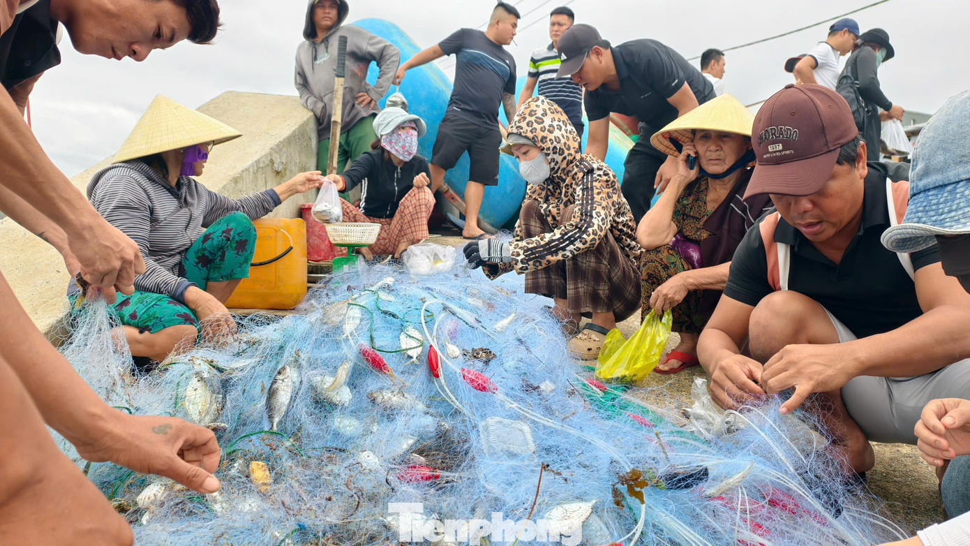amp;#34;Đánh liềuamp;#34; ra khơi giữa sóng lớn, ngư dân Quảng Ngãi trúng đậm - 14