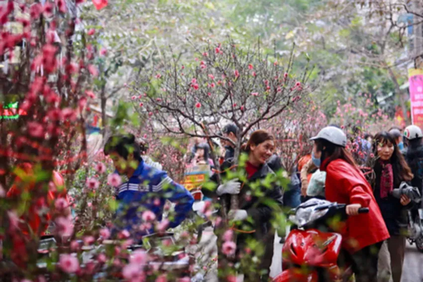 Tết Âm lịch năm 2026, cán bộ, công chức, viên chức của TP Hà Nội sẽ được nghỉ 5 ngày, gồm 1 ngày trước Tết và 4 ngày sau Tết. Ảnh: PLO