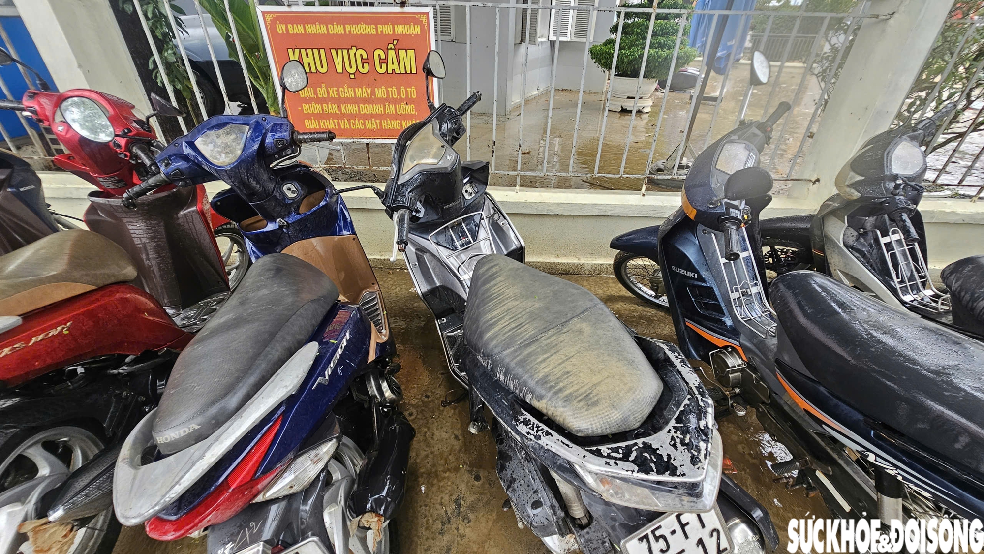 Nước lũ lên cao chưa từng có trong nhiều năm trở đây gây thiệt hại lớn cho người dân.