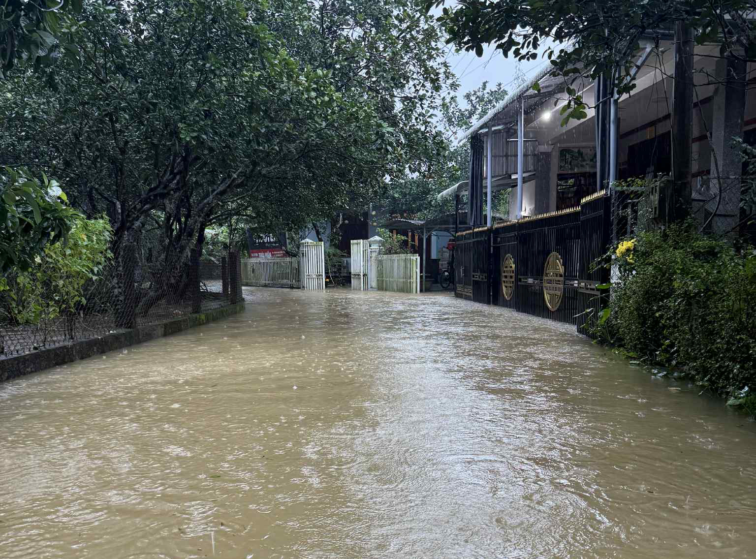 Khu vực Nguyệt Biều.