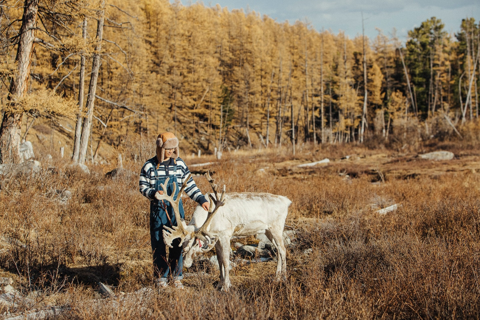 Khách Việt Đi Ngắm Thu Ở Mông Cổ: Ngày Say Xe Dữ Dội, Đêm Canh Củi Đốt Lò Khách Việt Đi Ngắm Thu Ở Mông Cổ: Ngày Say Xe Dữ Dội, Đêm Canh Củi Đốt Lò - 4