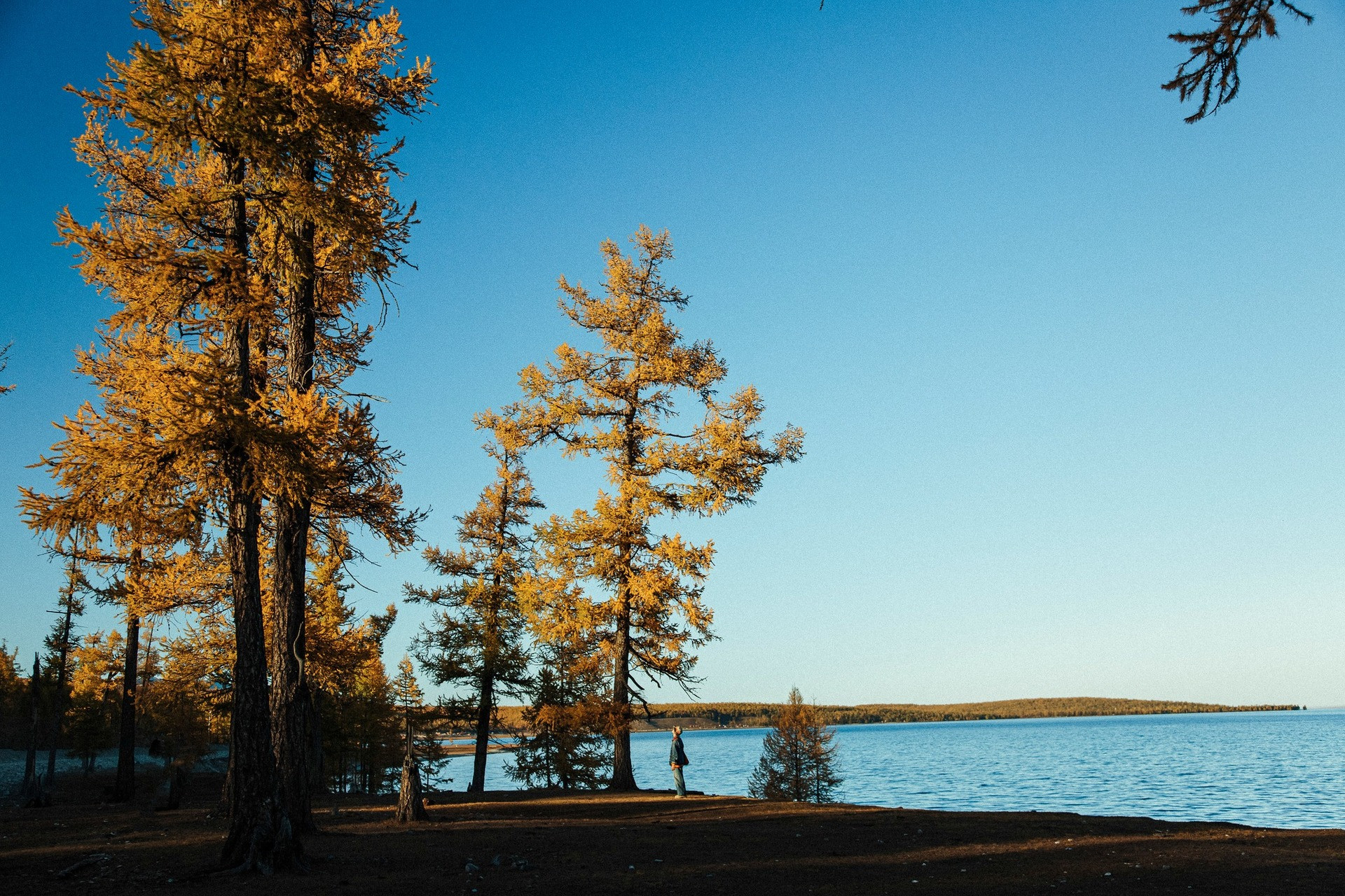 Khách Việt Đi Ngắm Thu Ở Mông Cổ: Ngày Say Xe Dữ Dội, Đêm Canh Củi Đốt Lò Img Src/Upload/4-2025/Images/2025-11-04/1762244240-Du-Lich-Mong-Co-2-3431-Width1920Height1280.Jpg Width660 /