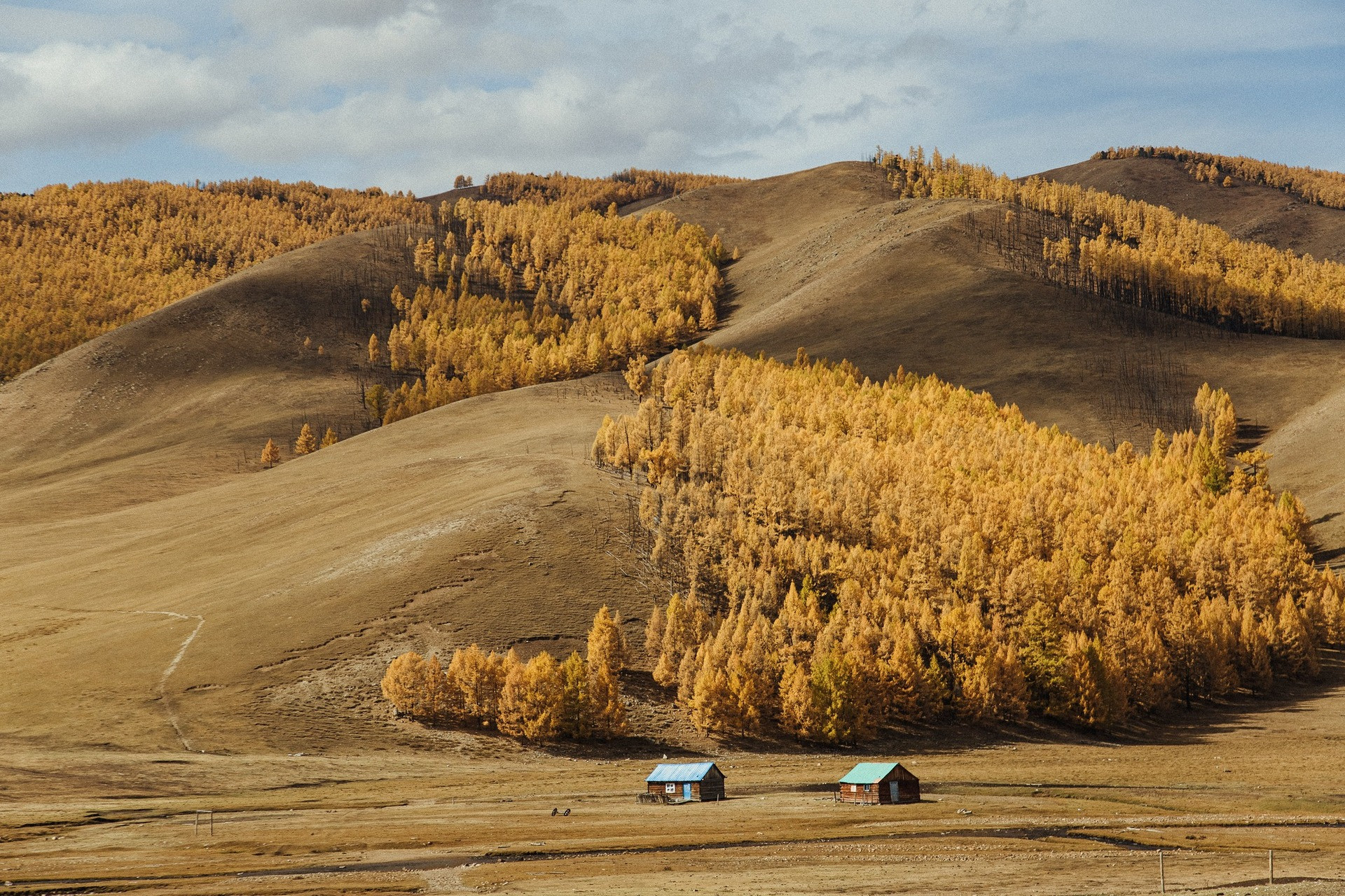 Khách Việt Đi Ngắm Thu Ở Mông Cổ: Ngày Say Xe Dữ Dội, Đêm Canh Củi Đốt Lò Khách Việt Đi Ngắm Thu Ở Mông Cổ: Ngày Say Xe Dữ Dội, Đêm Canh Củi Đốt Lò - 11