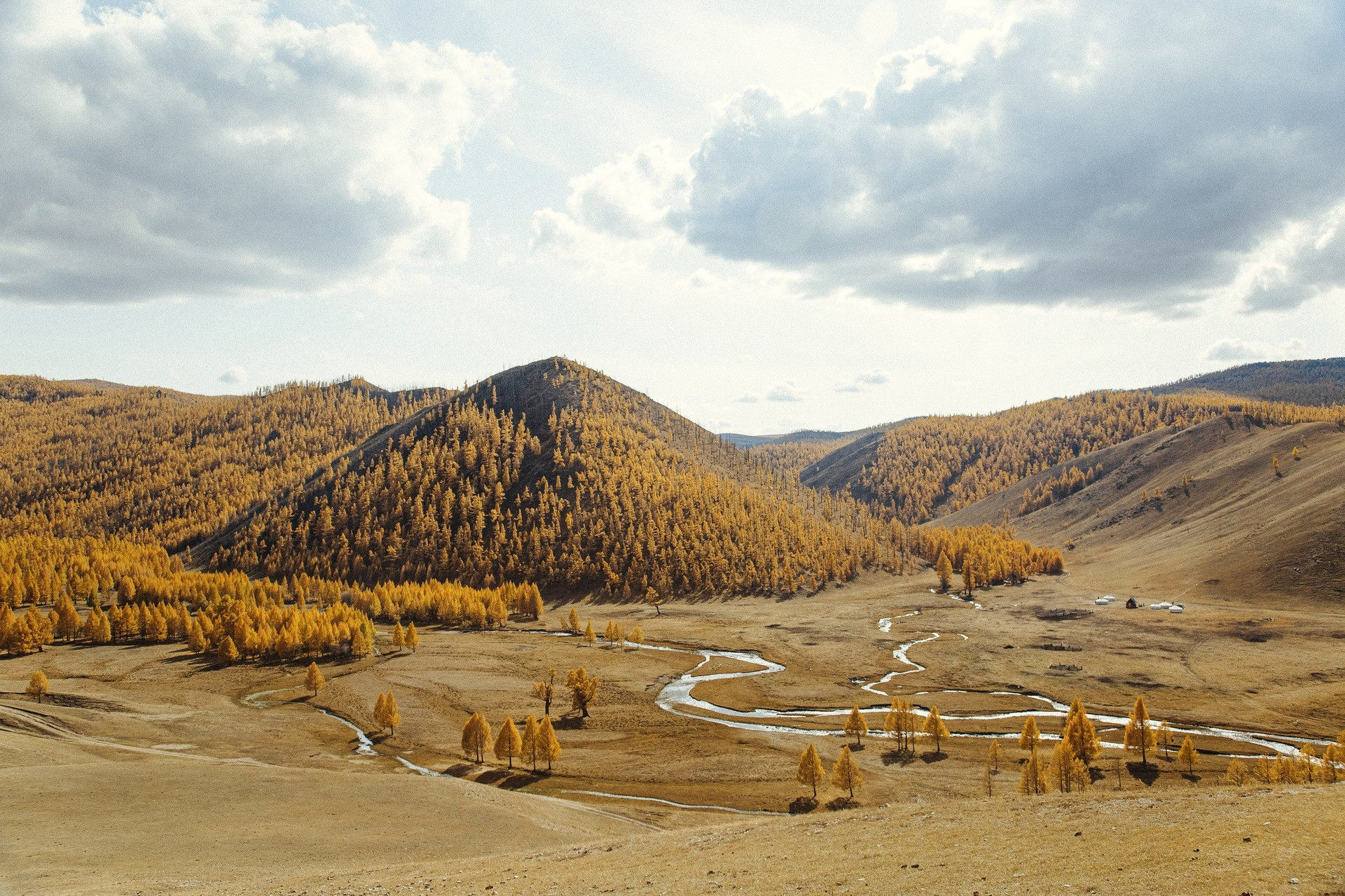 Khách Việt Đi Ngắm Thu Ở Mông Cổ: Ngày Say Xe Dữ Dội, Đêm Canh Củi Đốt Lò Thảo Nguyên, Rừng Thông Vàng, Suối Nhỏ Và Núi Đồi Đẹp Vô Thực Của Mông Cổ