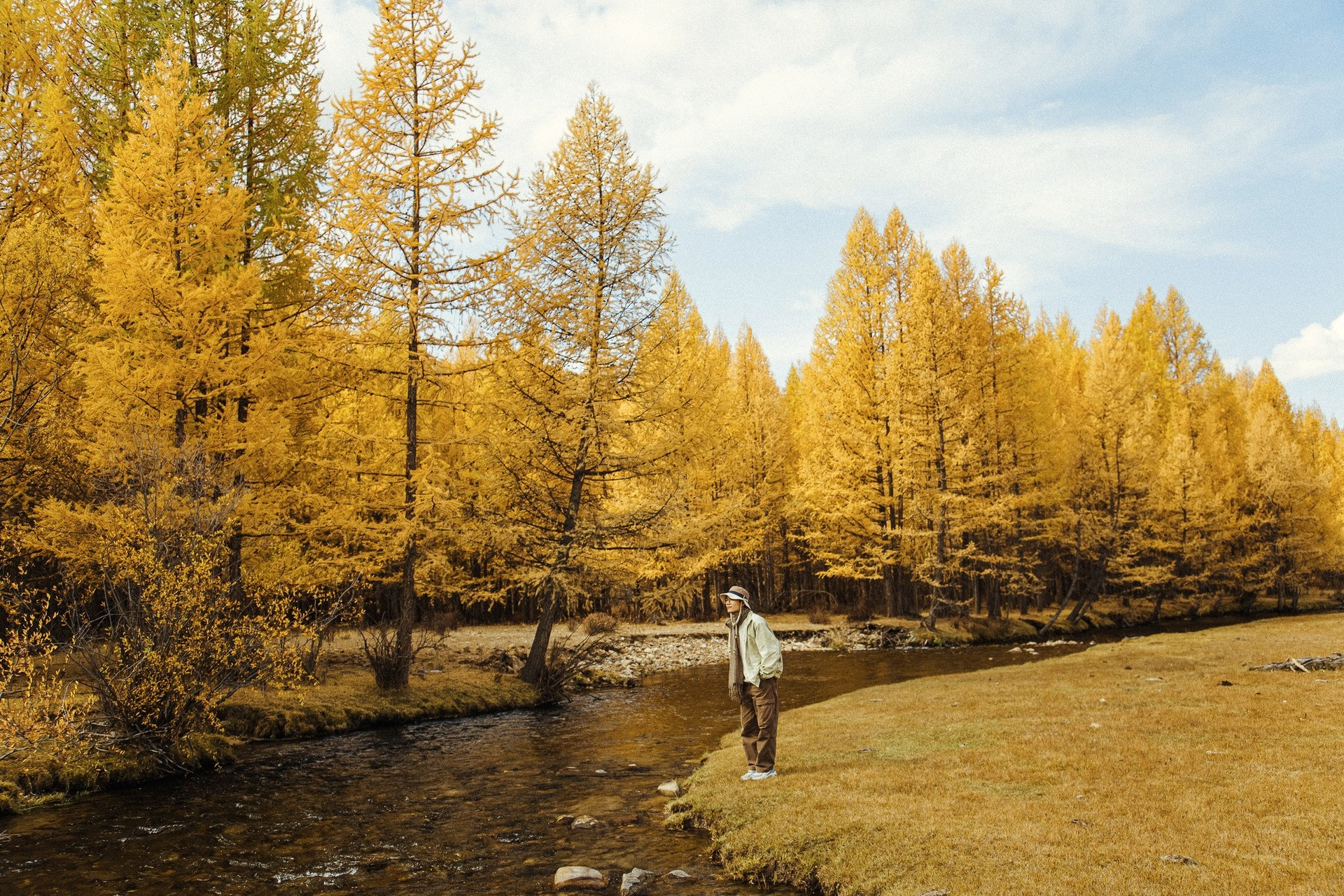 Khách Việt Đi Ngắm Thu Ở Mông Cổ: Ngày Say Xe Dữ Dội, Đêm Canh Củi Đốt Lò Không Điện, Không Mạng, Nhưng Du Khách Được Chiêm Ngưỡng Những Khung Cảnh Chưa Bao Giờ Thấy