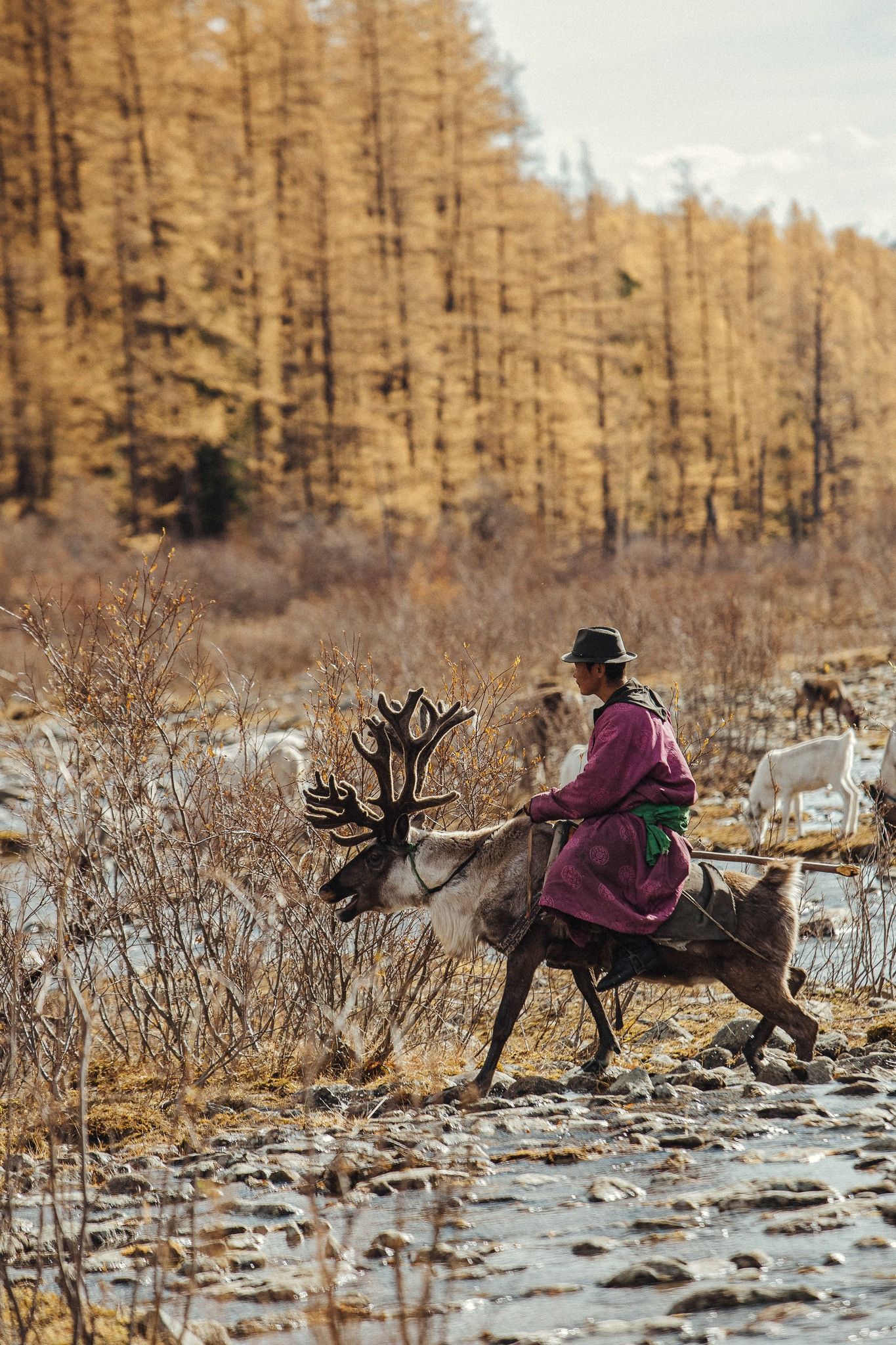 Khách Việt Đi Ngắm Thu Ở Mông Cổ: Ngày Say Xe Dữ Dội, Đêm Canh Củi Đốt Lò Khách Việt Đi Ngắm Thu Ở Mông Cổ: Ngày Say Xe Dữ Dội, Đêm Canh Củi Đốt Lò - 8