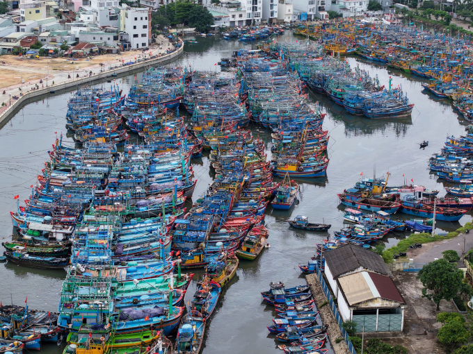 Cảng cá Quy Nhơn có hàng trăm tàu thuyền neo đậu tránh bão sáng 5/11. Ảnh: Thanh Tùng
