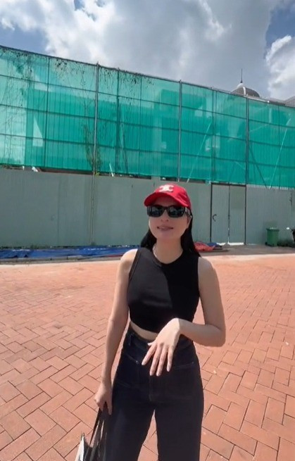 Biệt thự 400 tỷ 4 năm chưa xong của vợ chồng Đoàn Di Băng - 7