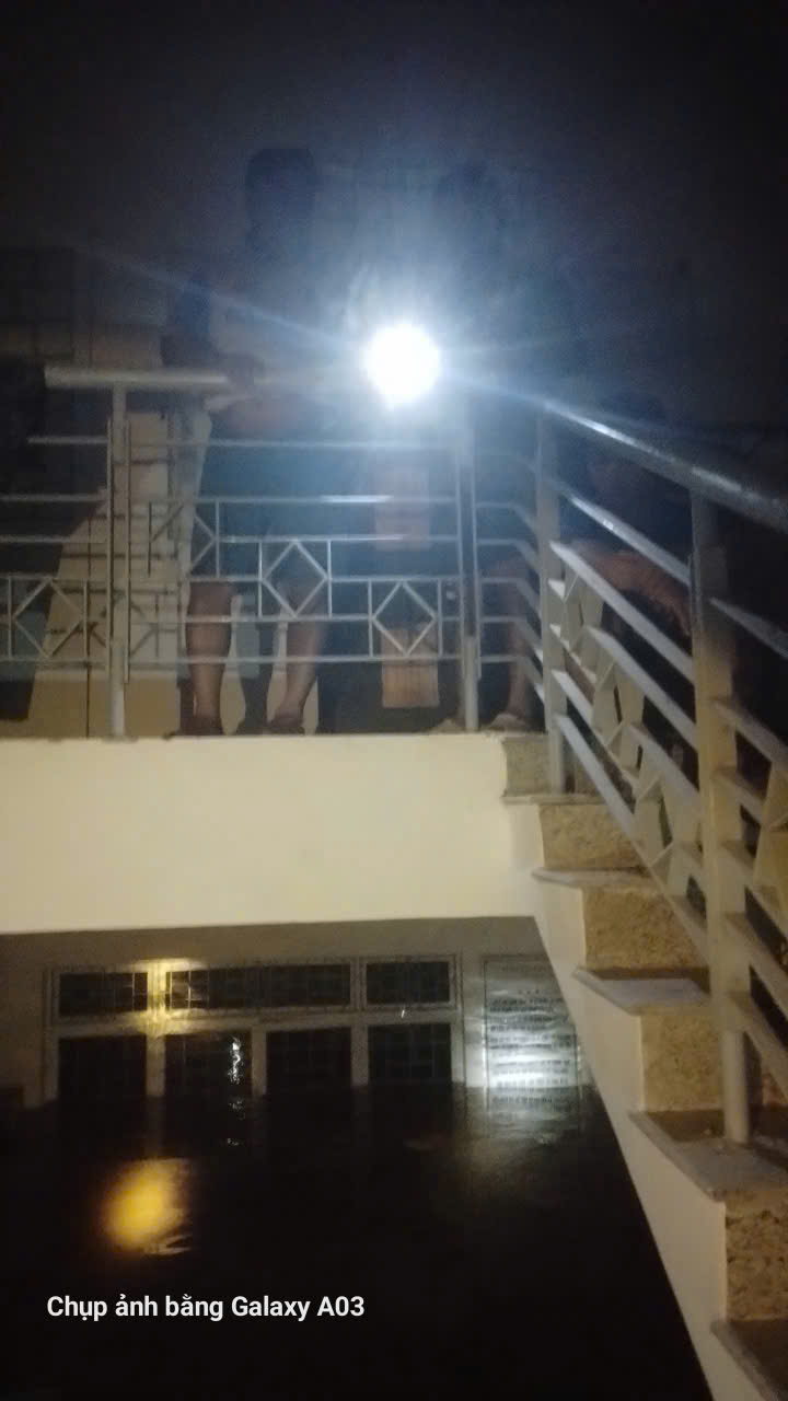 Bão số 13 Kalmaegi: Những thiệt hại nặng nề ở Gia Lai, Đắk Lắk - 1