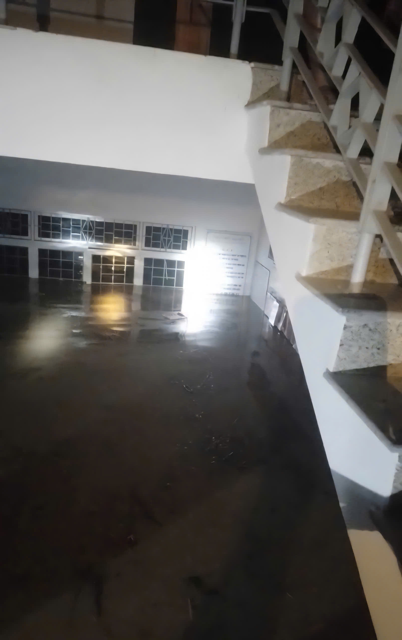 Bão số 13 Kalmaegi: Những thiệt hại nặng nề ở Gia Lai, Đắk Lắk - 3