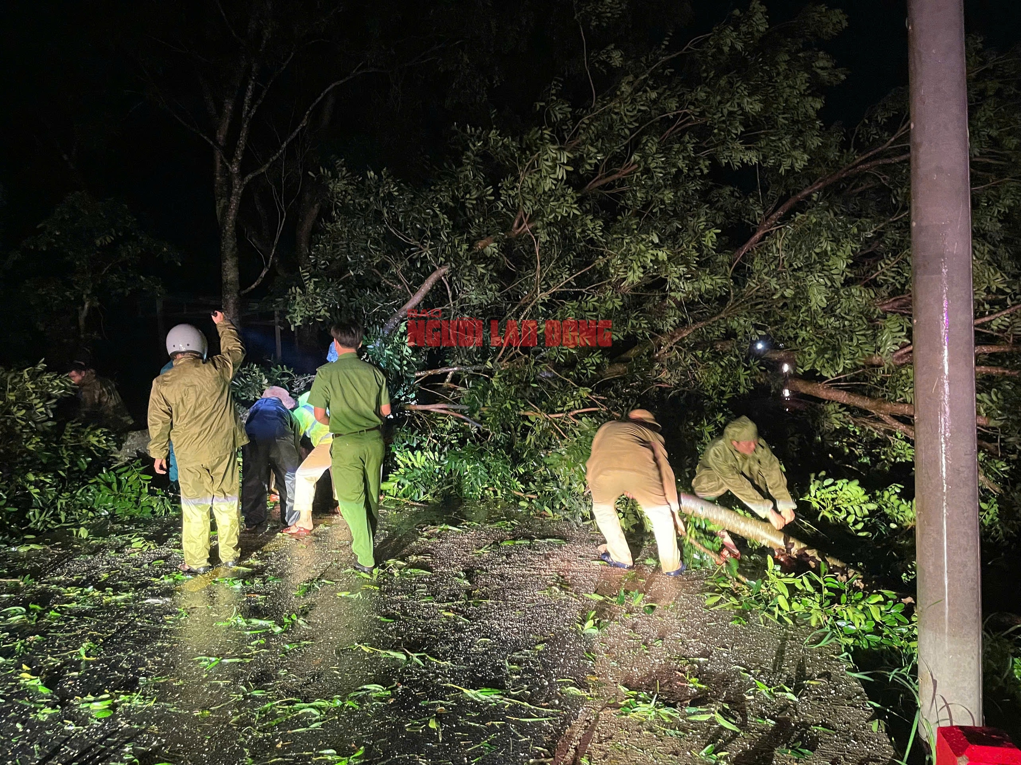 Bão số 13 Kalmaegi: Những thiệt hại nặng nề ở Gia Lai, Đắk Lắk - 8