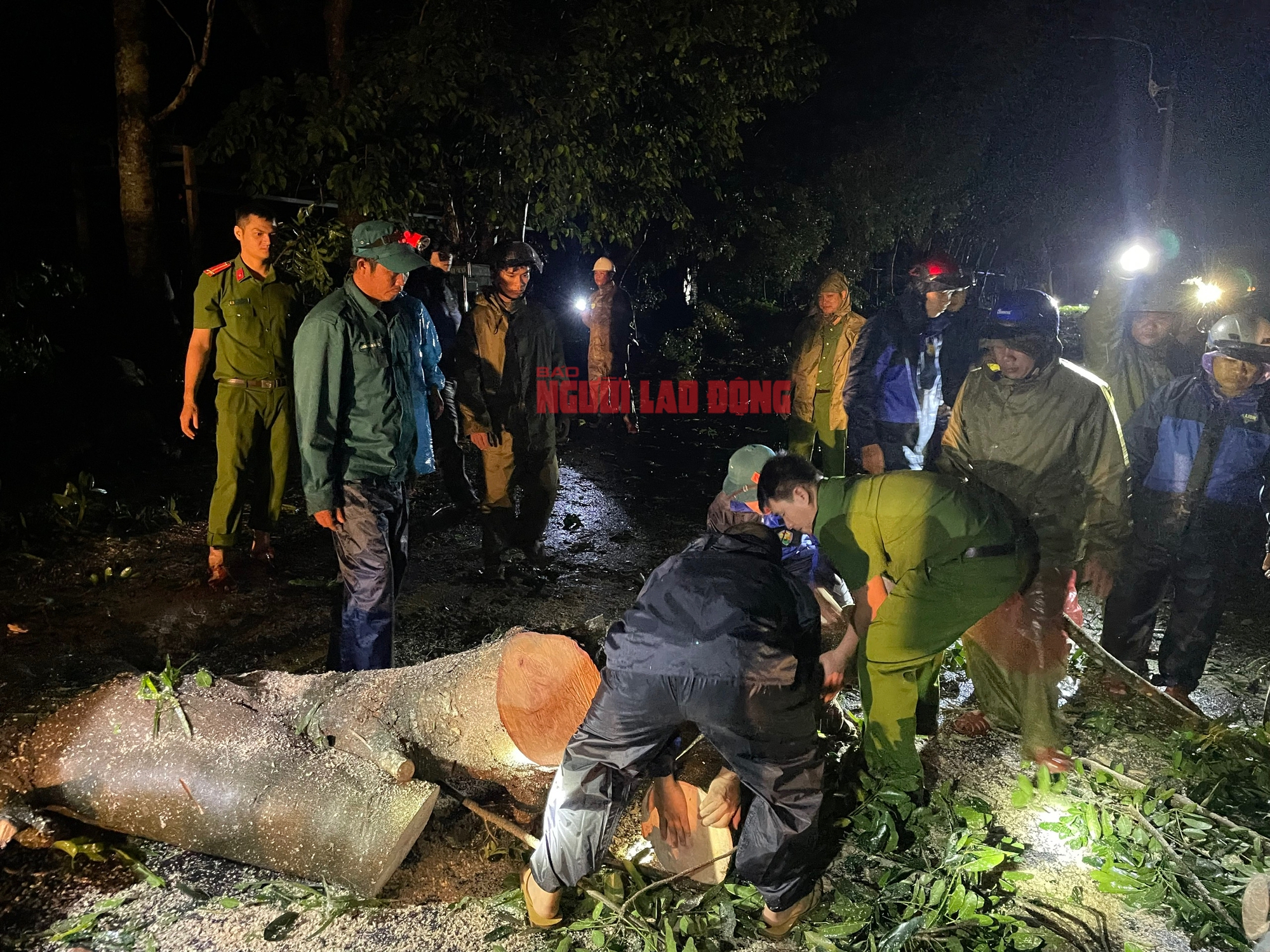 Bão số 13 Kalmaegi: Những thiệt hại nặng nề ở Gia Lai, Đắk Lắk - 9