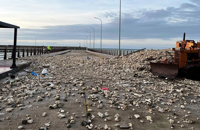 San hô bị sóng biển, triều cường đánh lên bờ