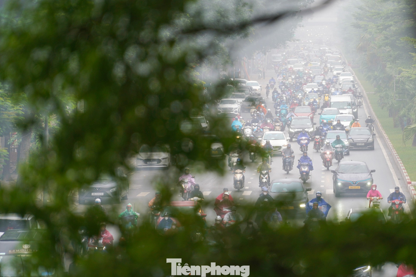 Đường Hoàng Quốc Việt sương giăng mờ ảo.