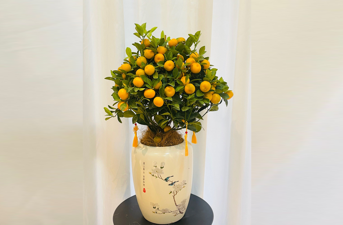 Cây Kim quất, biểu tượng của đại cát đại lợi, mang lại vượng khí và tài lộc cho người mệnh Kim. Ảnh: Baidu