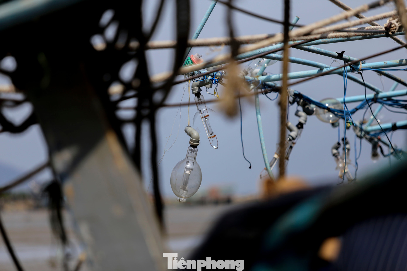 img src/upload/4-2025/images/2025-11-11/1762832681-tp-t8-width1390height854.jpg width660 /