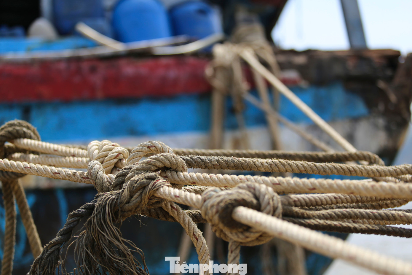 img src/upload/4-2025/images/2025-11-11/1762832682-tp-t17-width1390height817.jpg width660 /