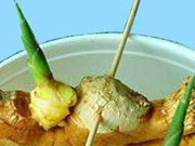 Nhà đẹp - Chơi chậu gừng phong thủy trong nhà: 5 điều cần biết khi trồng giúp bạn đón được vận tốt trước Tết