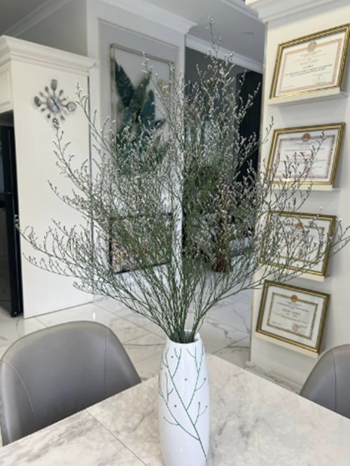 Có gì trong biệt thự 20 tỷ của amp;#34;nữ hoàng dân caamp;#34;? - 6