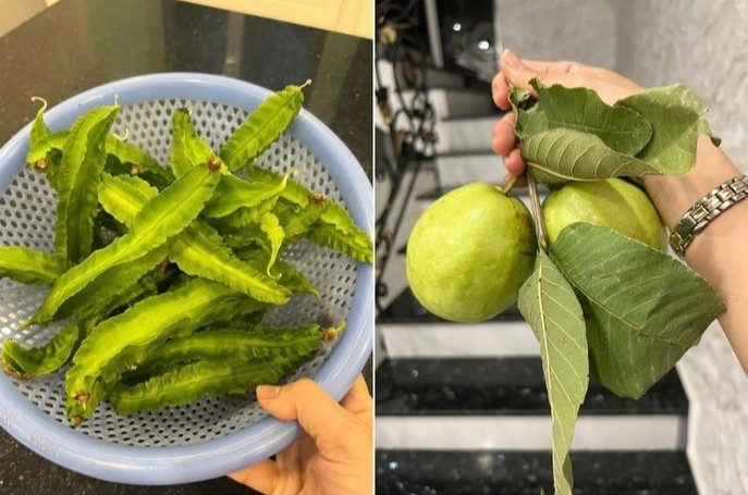 Có gì trong biệt thự 20 tỷ của amp;#34;nữ hoàng dân caamp;#34;? - 11