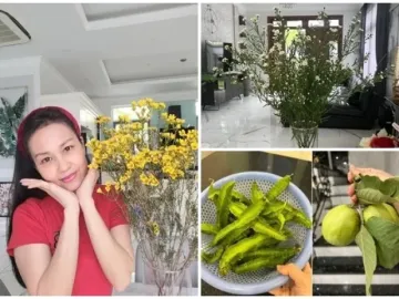 Có gì trong biệt thự 20 tỷ của "nữ hoàng dân ca"?