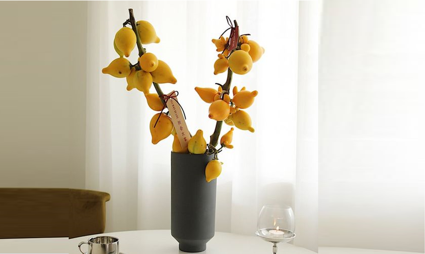 Cây Ngũ đại đồng đường mang ý nghĩa sum vầy và hòa thuận, lan tỏa năng lượng Thổ ổn định trong mọi không gian sống. Ảnh: Baidu