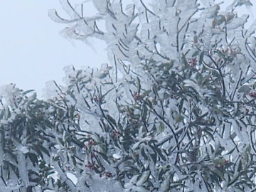 Người dân bất ngờ khi miền Bắc xuất hiện băng giá sớm