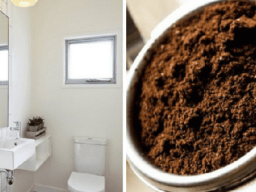 Cách khử mùi hôi trong nhà vệ sinh đơn giản, hiệu quả