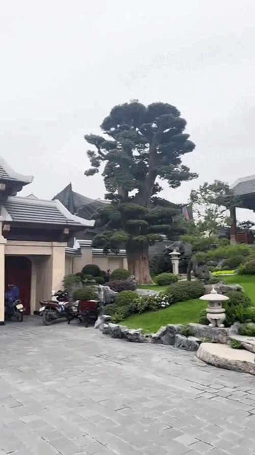 Cận cảnh biệt thự đồ sộ của trưởng thôn trẻ amp;#34;giàu nhất Việt Namamp;#34; - 4