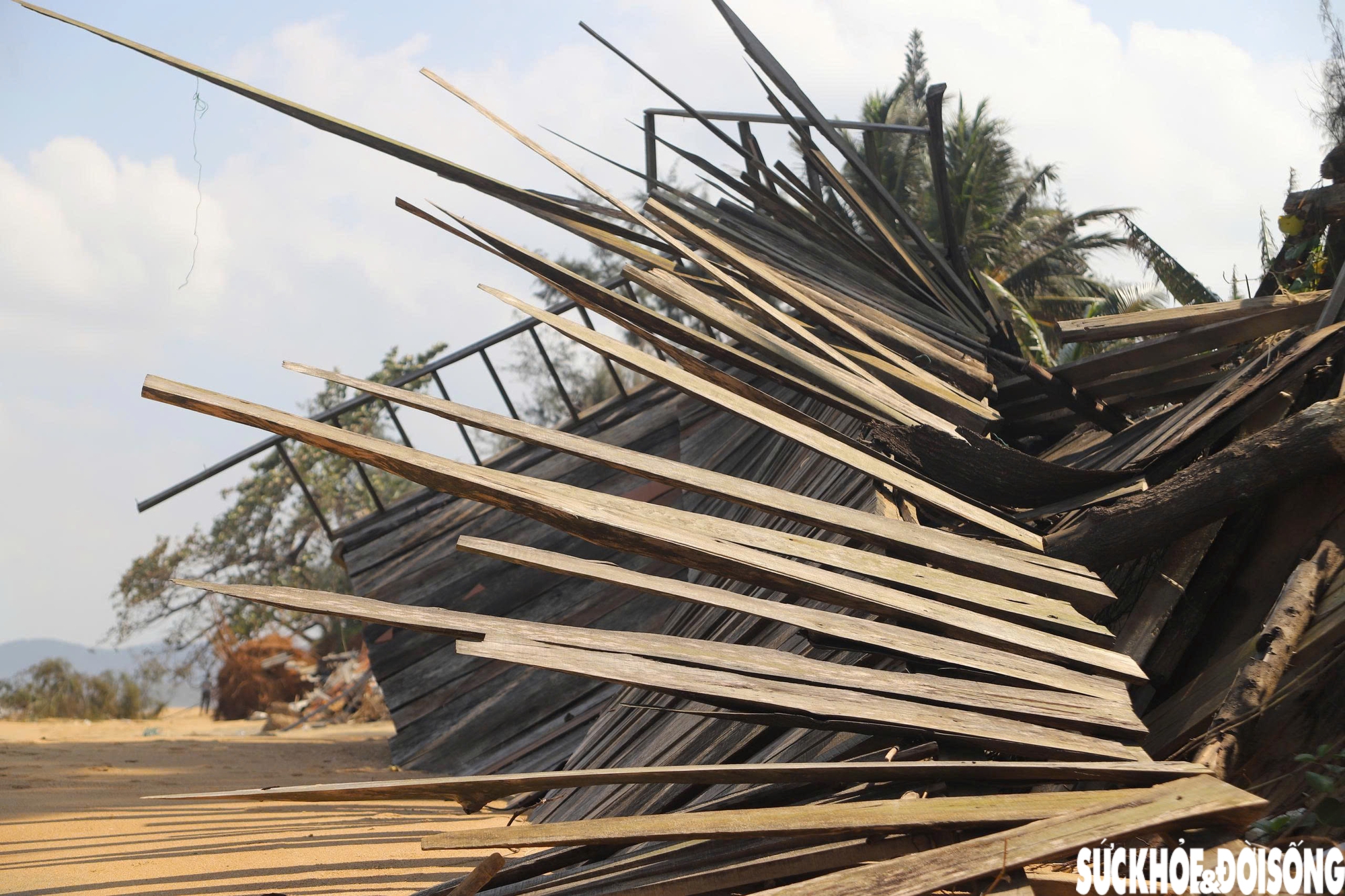 Theo ghi nhận, từng mảng cát bị khoét sâu, mái gỗ vỡ vụn, bê tông vỡ ngổn ngang. Những cây dương liễu chắn sóng lâu năm nay bật gốc, nằm la liệt trên nền cát.