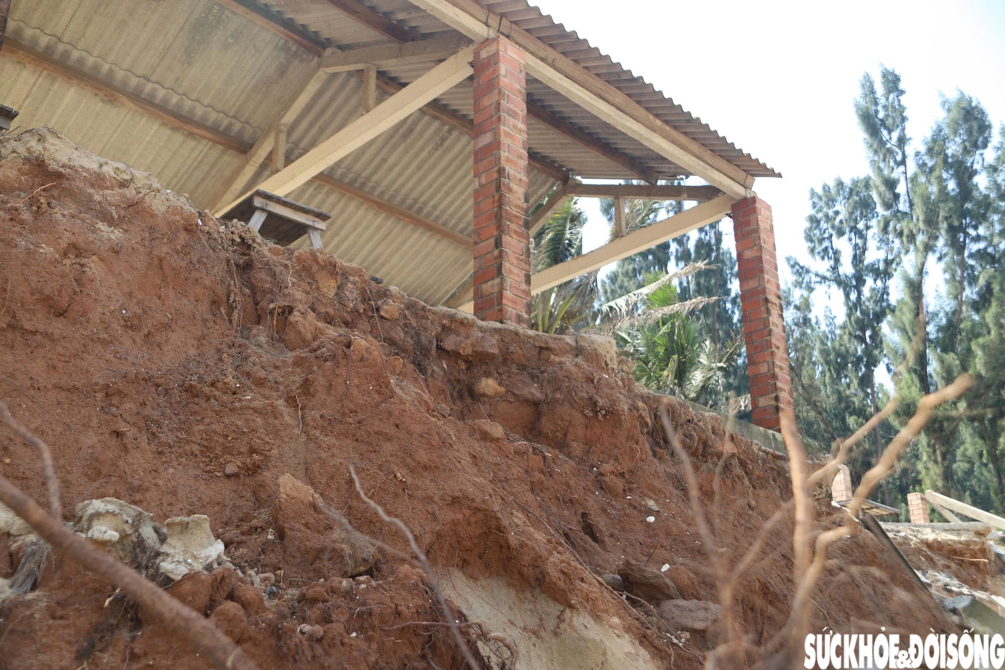 Người dân lo ngại nếu không có biện pháp ứng phó kịp thời, biển sẽ tiếp tục ăn sâu vào đất liền, khiến bãi biển hoang sơ sẽ biến mất.