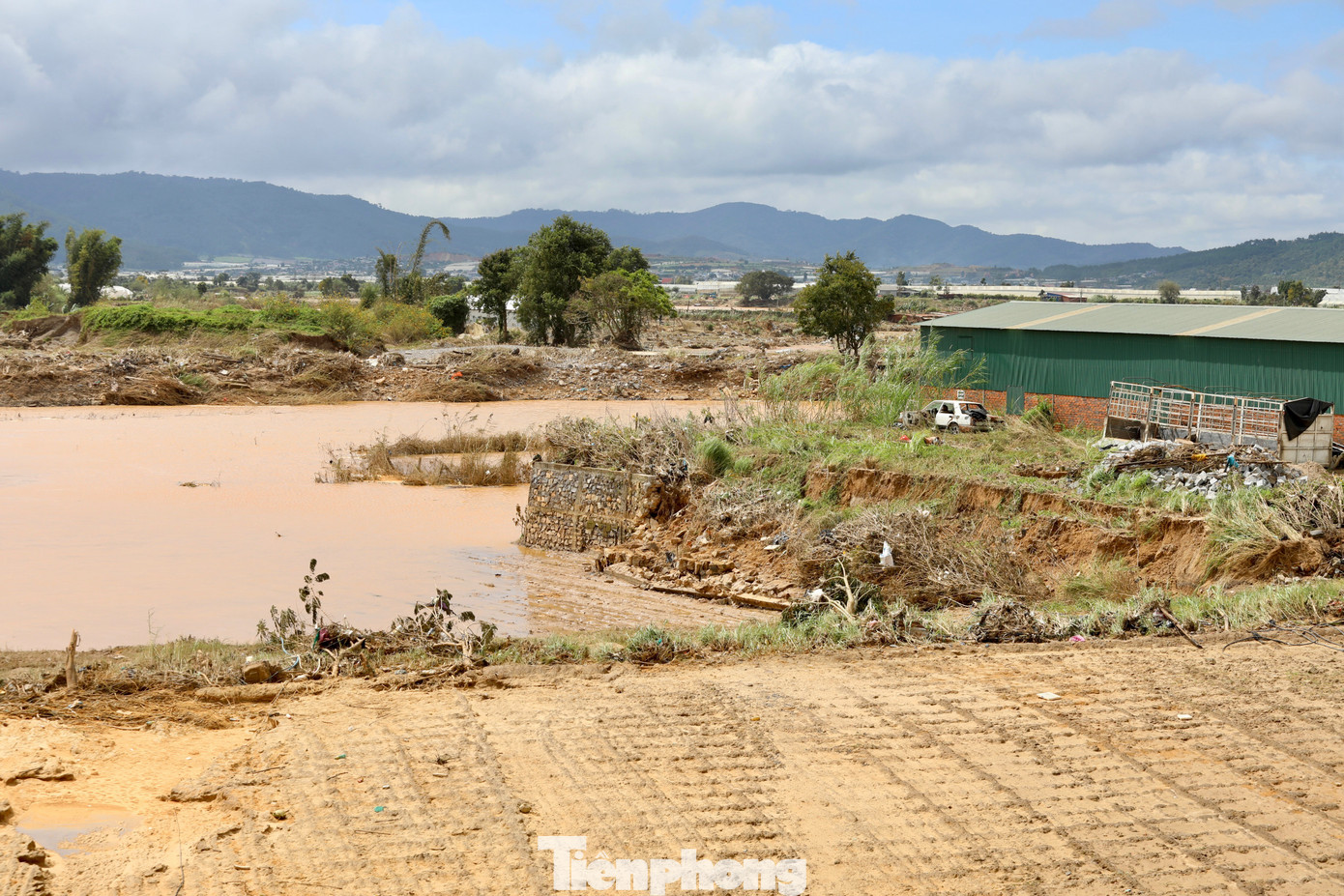 Tan hoang thủ phủ rau Lâm Đồng - 1