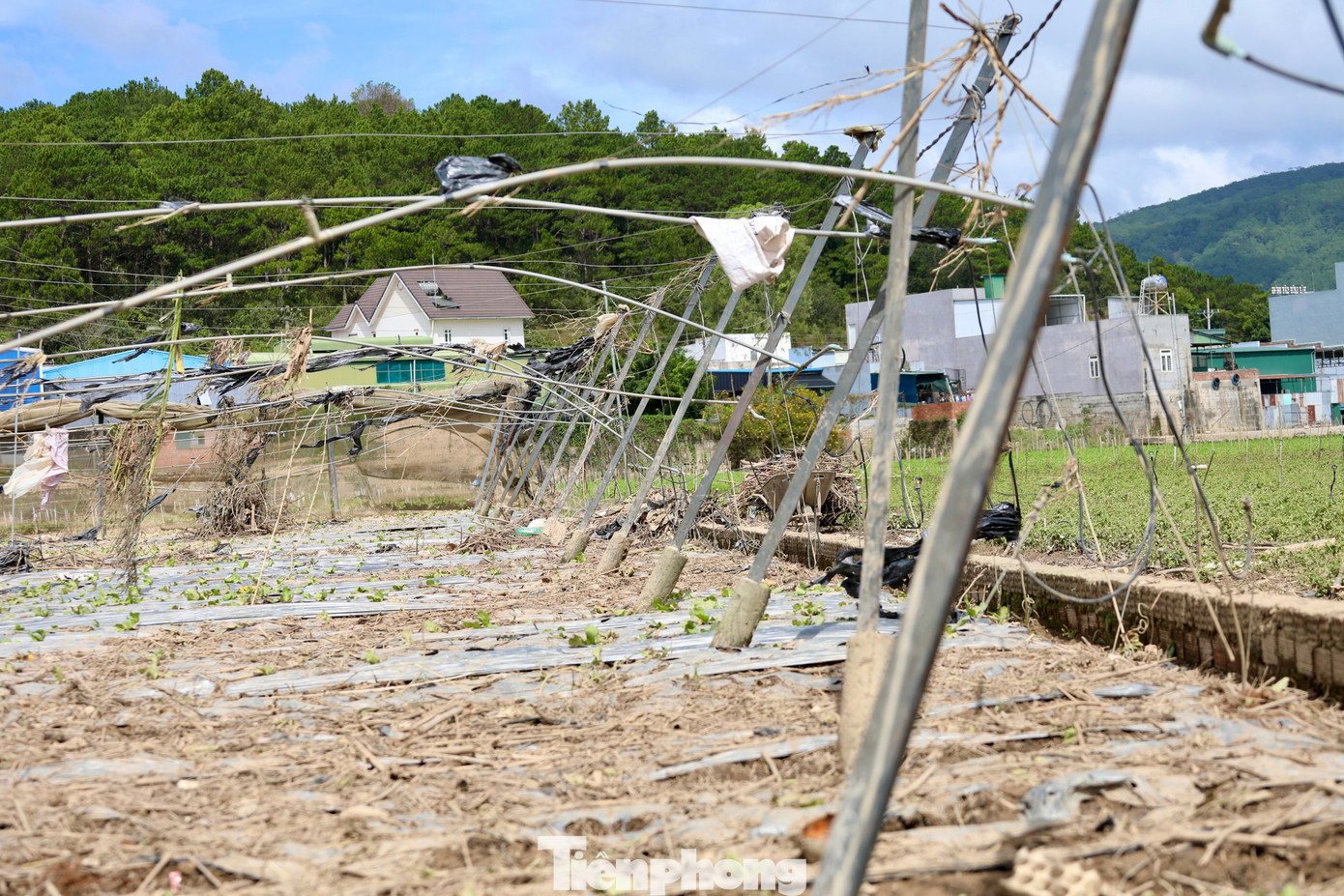 img src
/upload/4-2025/images/2025-11-25/1764033791-tp-15-2-width1390height927.jpg
width660