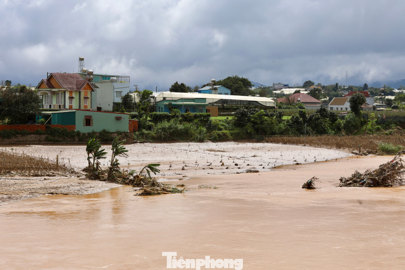 Tan hoang thủ phủ rau Lâm Đồng - 3