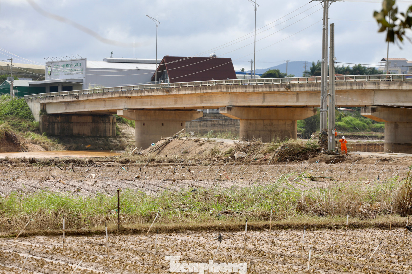 Theo ghi nhận của phóng viên, ngày 24/11, mực nước trên sông Đa
Nhim đã rút, để lại cảnh tượng hoang tàn ở thủ phủ rau Lâm Đồng -
xã Ka Đô.