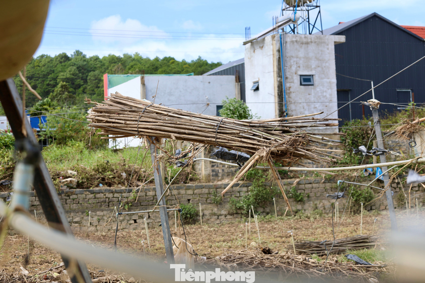 img src
/upload/4-2025/images/2025-11-25/1764033792-tp-29-width1390height927.jpg
width660