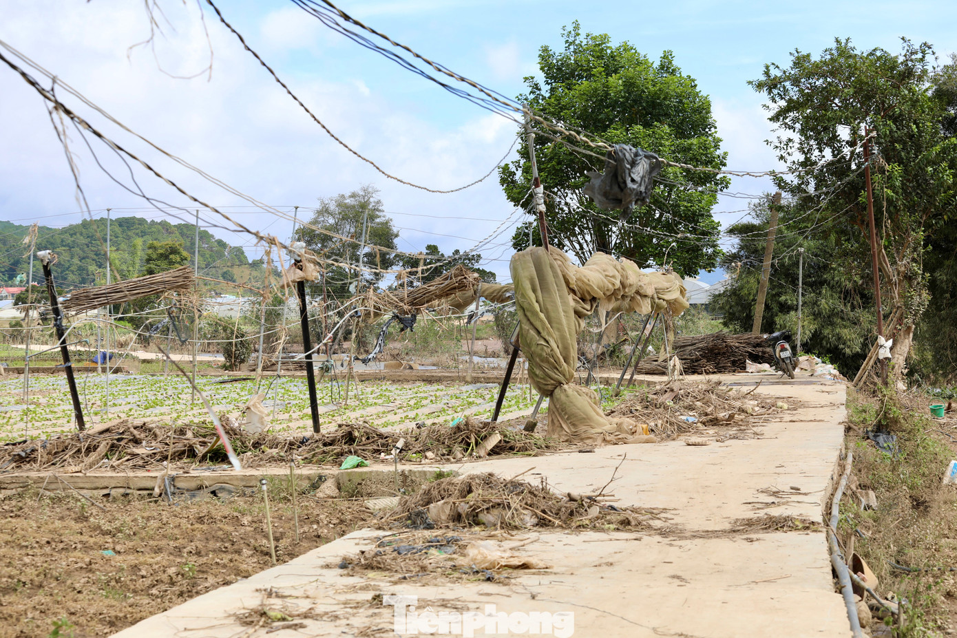 img src
/upload/4-2025/images/2025-11-25/1764033792-tp-9-2-width1390height927.jpg
width660