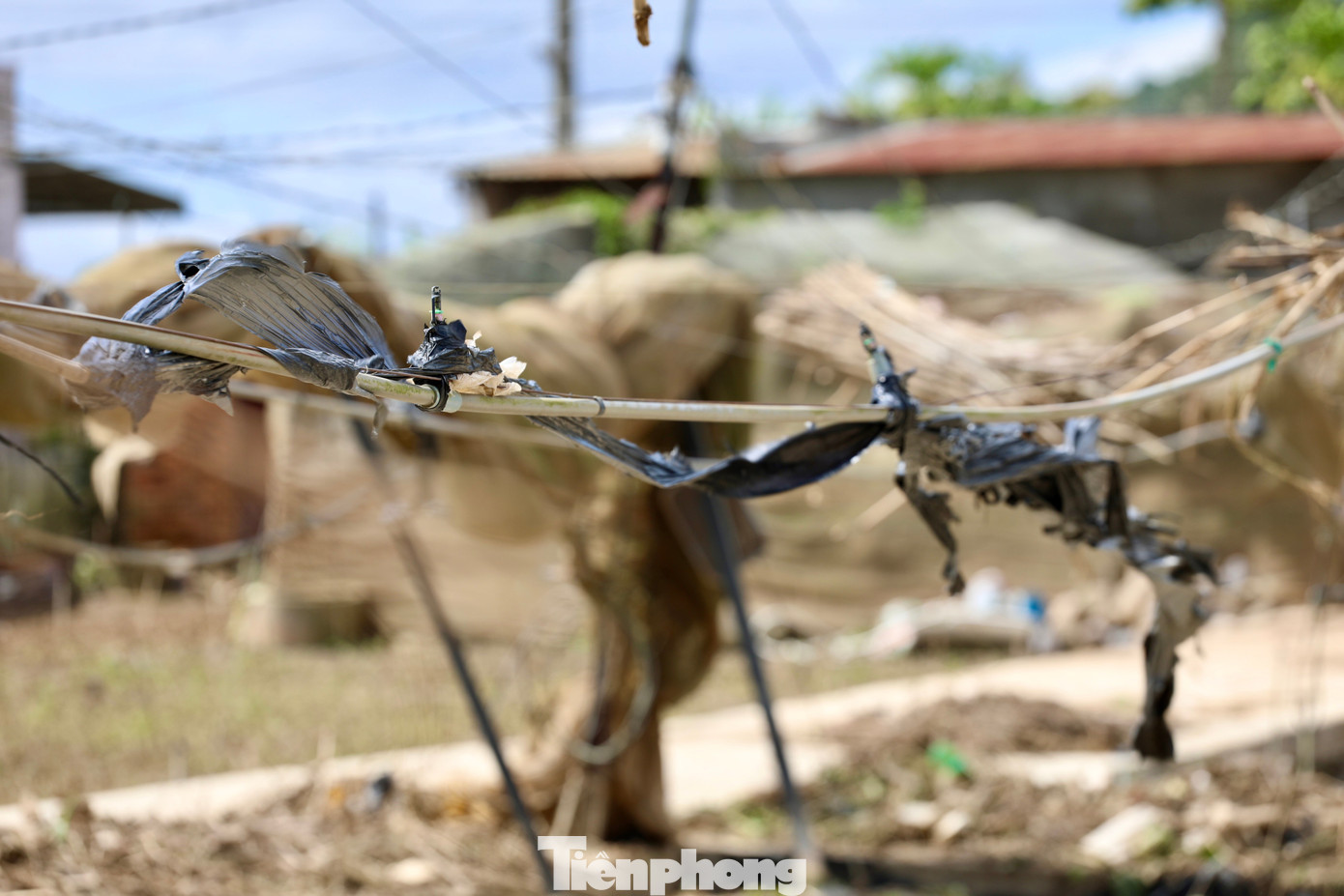 img src
/upload/4-2025/images/2025-11-25/1764033793-tp-6-2-width1390height927.jpg
width660