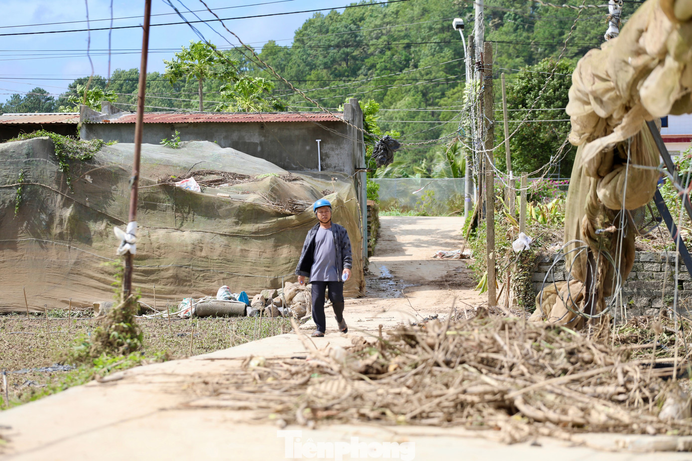 Tan hoang thủ phủ rau Lâm Đồng - 10