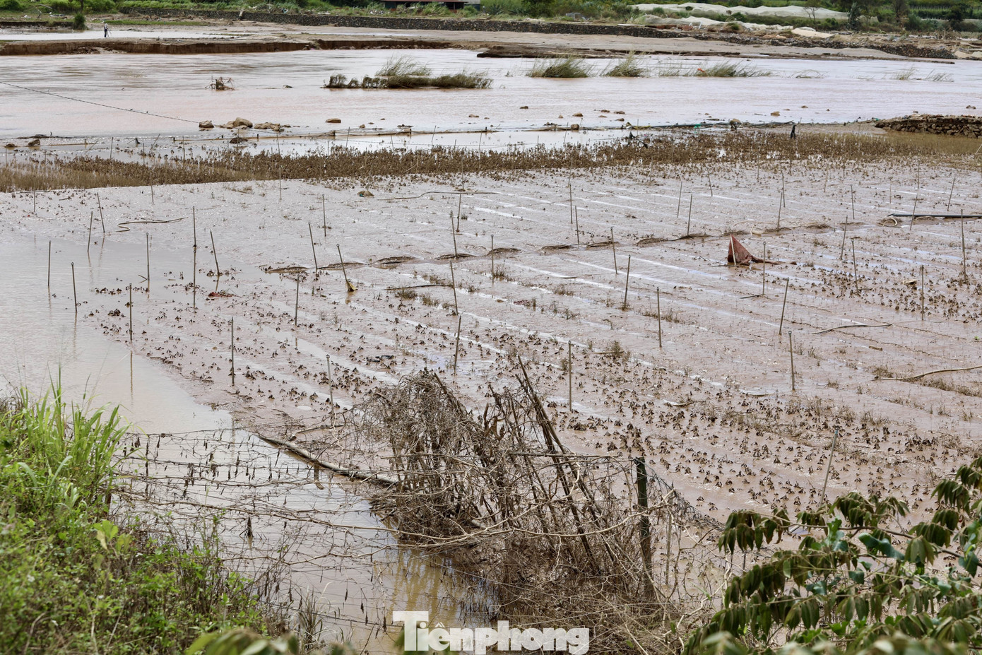 img src
/upload/4-2025/images/2025-11-25/1764033794-tp-3-width1390height927.jpg
width660