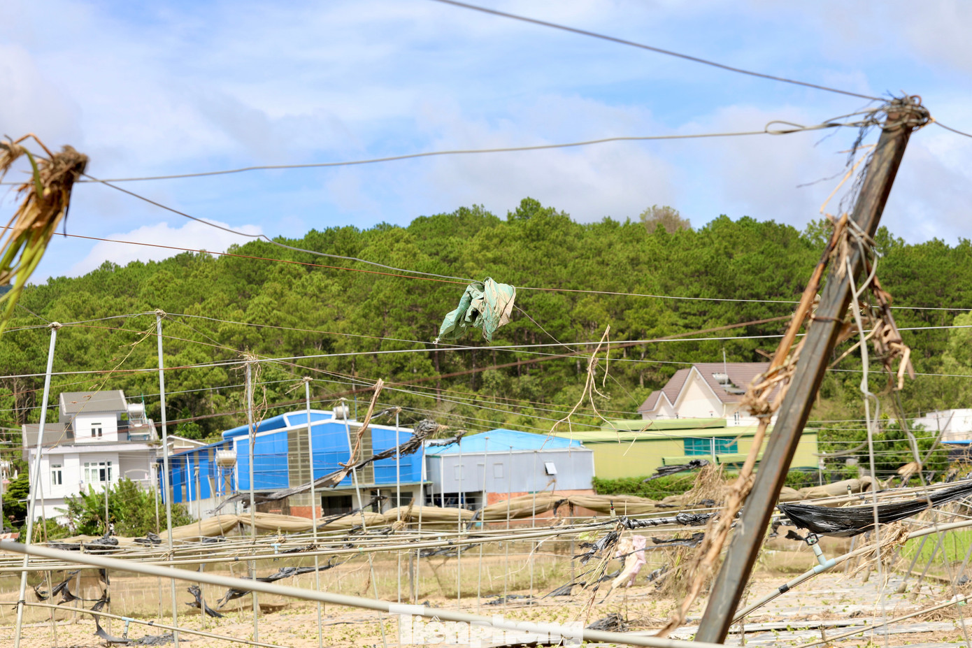 img src
/upload/4-2025/images/2025-11-25/1764033793-tp-20-width1390height927.jpg
width660