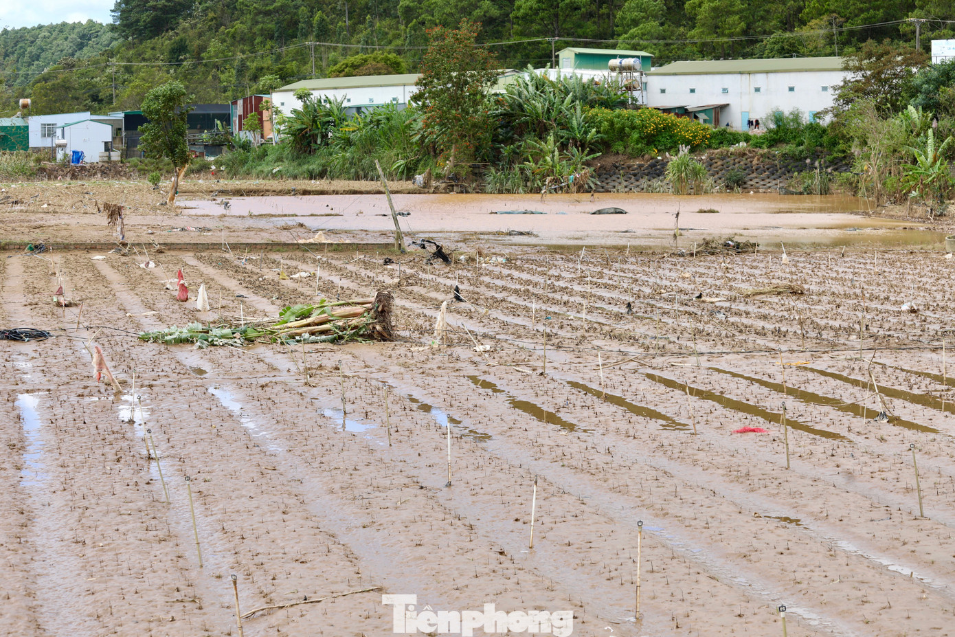 img src
/upload/4-2025/images/2025-11-25/1764033794-tp-37-width1390height927.jpg
width660