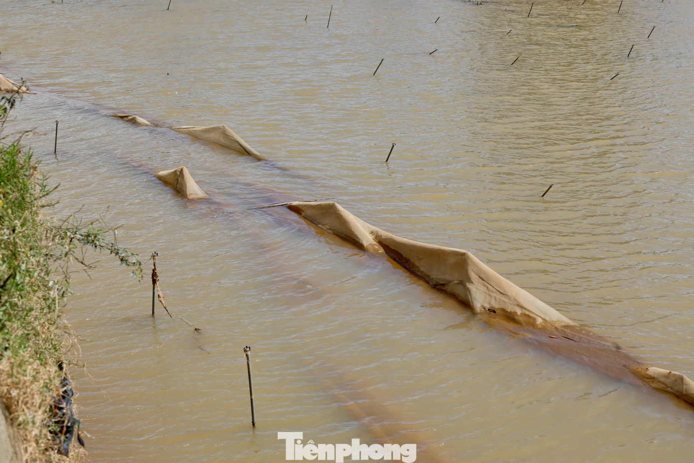 img src
/upload/4-2025/images/2025-11-25/1764033795-tp-27-width1390height927.jpg
width660