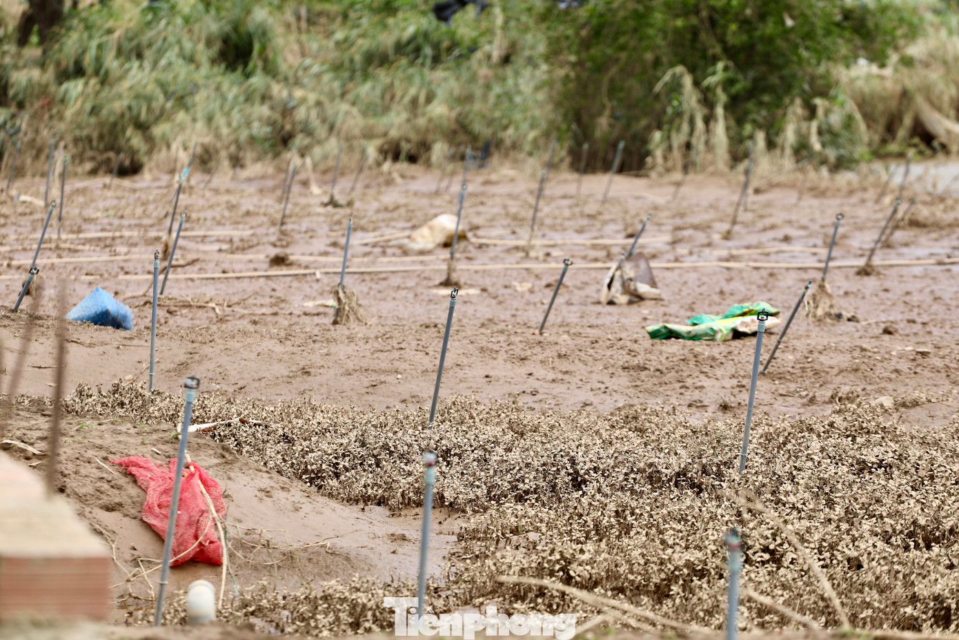 img src
/upload/4-2025/images/2025-11-25/1764033795-tp-13-2-width1390height927.jpg
width660