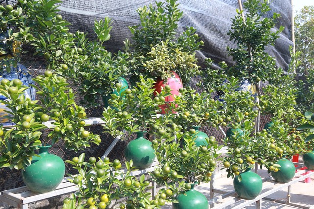 img src/upload/4-2025/images/2025-11-30/1764463793-z36bbb4baa5e2f9d9bebca84c119-04863-width640height426.jpg width660 /