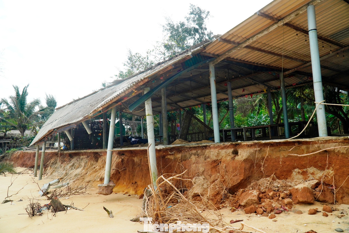 Những ngày cuối tháng 11, toàn dải bờ biển Hàm Rồng (xã Vinh Lộc, TP Huế) trở nên biến dạng hoàn toàn do các đợt mưa bão dồn dập vừa qua gây ra. Bờ cát vàng tuyệt đẹp ngày nào giờ bị sóng xâm thực, khoét sâu, cây cối tạo cảnh quan và chắn sóng bị bật gốc ngổn ngang, hệ thống hàng quán dịch vụ ven biển bị hư hỏng nặng, tạo nên một khung cảnh đổ nát, hoang tàn trải dài trên dải bờ biển nổi tiếng xứ Huế.