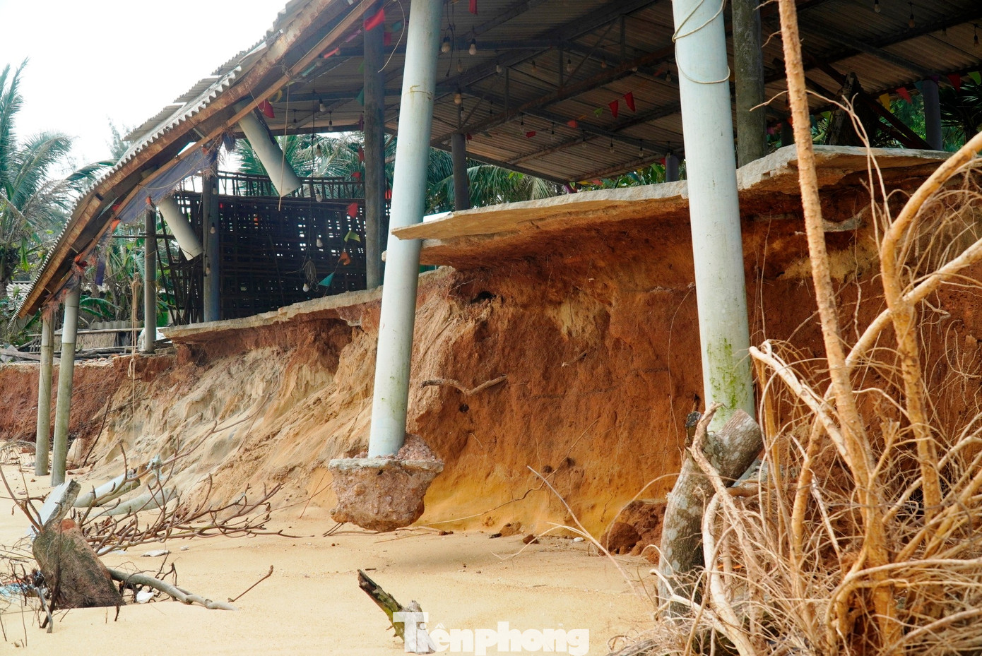 img src/upload/4-2025/images/2025-12-01/1764553622-tp-3-bai-tam-ham-rong-bien-dang-2-width1390height783.jpg width660 /